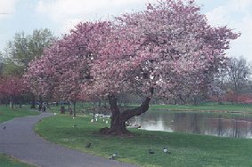 Berkeley Heights, New Jersey