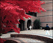 Greenville NC, North Carolina