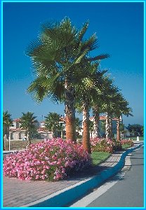 Laguna Niguel, California