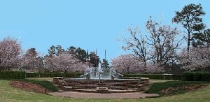 Peachtree City, Georgia