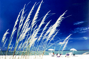 Sanibel Island, Florida