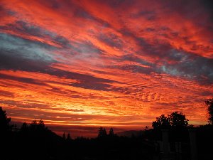 Santa Rosa, California