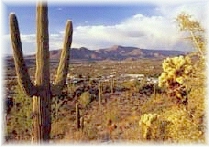 Cave Creek, Arizona